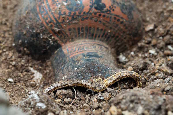 Royal Celtic Tomb Discovered in France