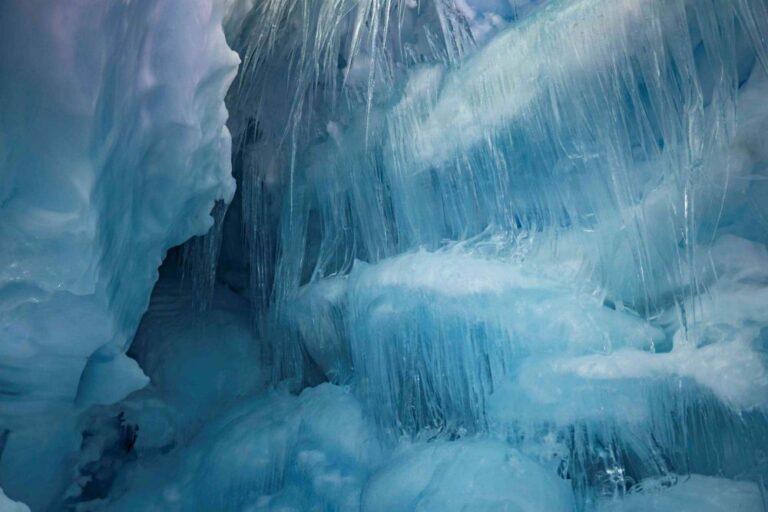 World Beneath Antarctica's Galindez Island