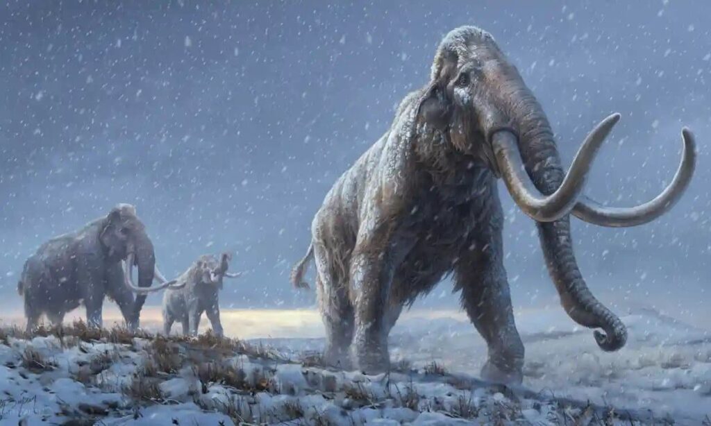 Mammoth Genomes Break Records 