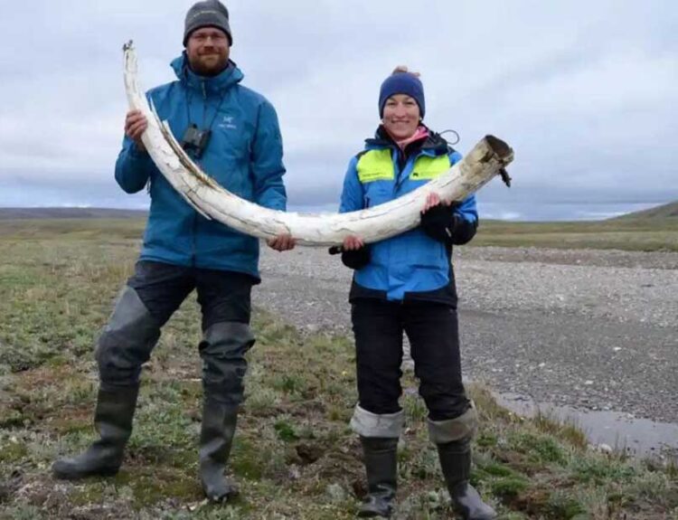 Mammoth Genomes Break Records