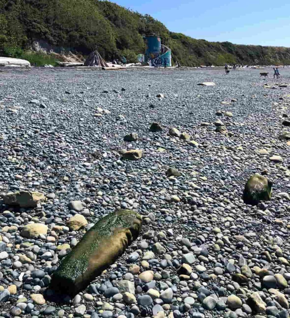 Carved Stone Pillar Found on B.C. Beach Identified as an Indigenous Artifact