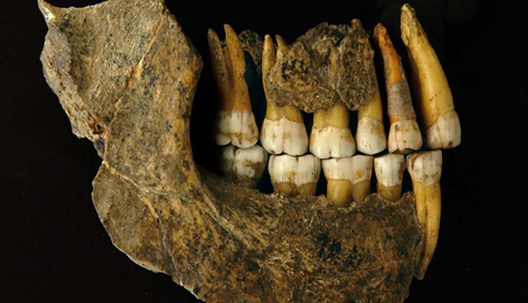 Neanderthals Disappeared from Europe 10,000 Years