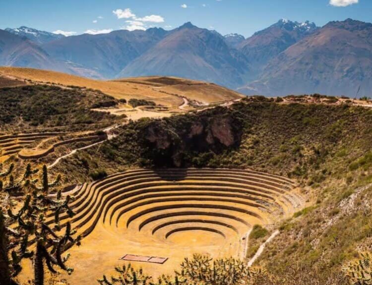 Andenes Powered the Inca Empire