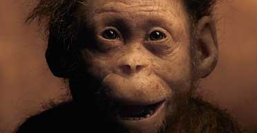 Hominin Toddler Was Kind of Like Us