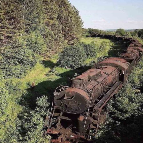 Eerie Train Graveyard Gives a Glimpse