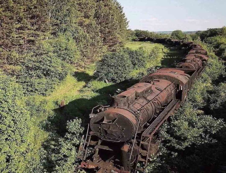 Eerie Train Graveyard Gives a Glimpse