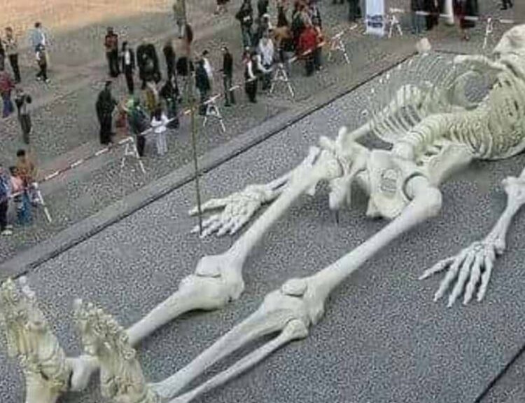 City Found 360 Feet Below Missouri City, Giant Human Skeleton Found