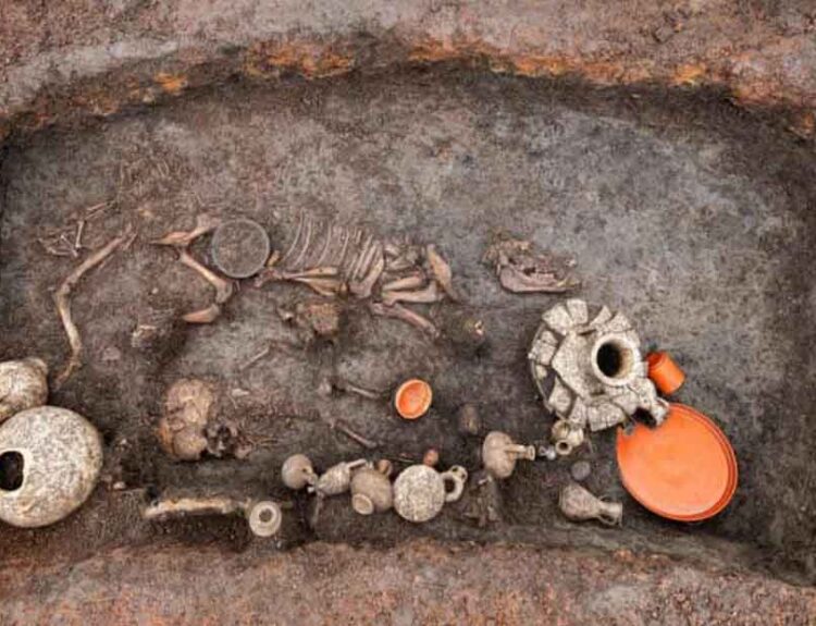 2,000-Year-Old Remains of Infant and Pet Dog Uncovered in France