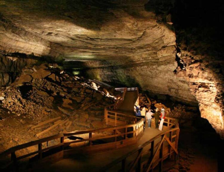 300 Million-Year-Old Shark Skull Found in Mammoth Cave, Kentucky