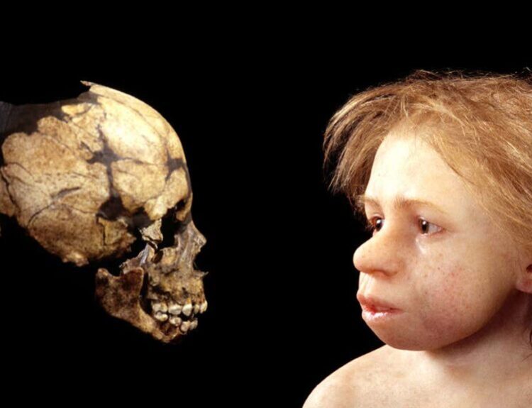 48,000-Year-Old Neanderthal Baby Teeth Reveal Weaning Patterns Similar to Modern Humans