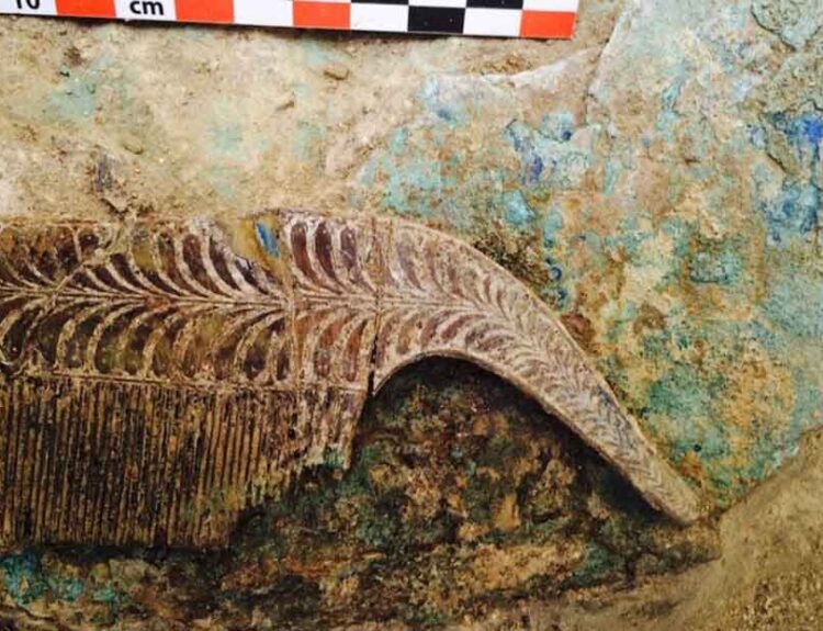 3,500-Year-Old “Griffin Warrior” Tomb