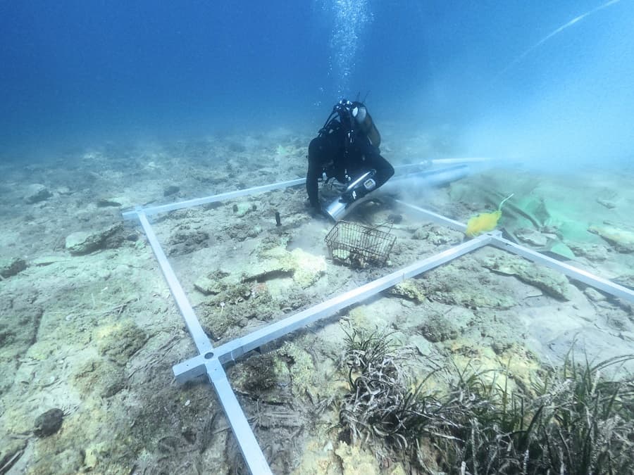 Neolithic Island Settlement off Croatian Coast