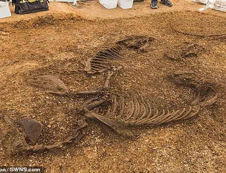 Iron Age Chariot Burial Unearthed in East Yorkshire