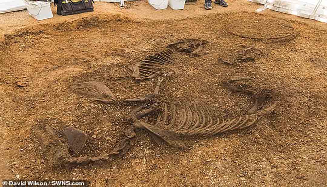 Iron Age Chariot Burial Unearthed in East Yorkshire