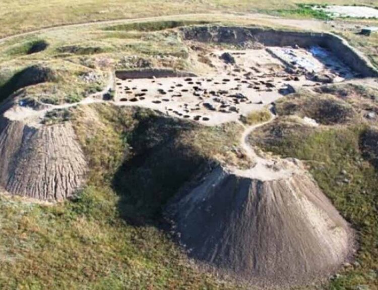 Persian King Darius I in the Ancient Greek City