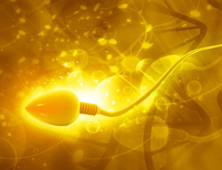 Giant Sperm Discovered in Amber