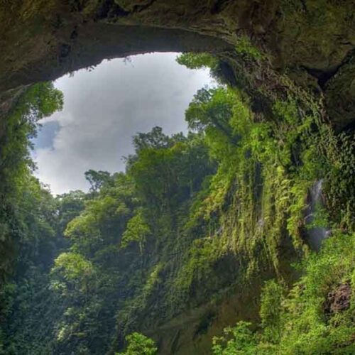 Discover Son Doong Cave