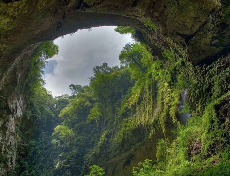 Discover Son Doong Cave