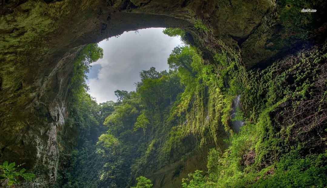 Discover Son Doong Cave