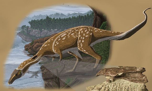 Toothless Dinosaur Species Elaphrosaur