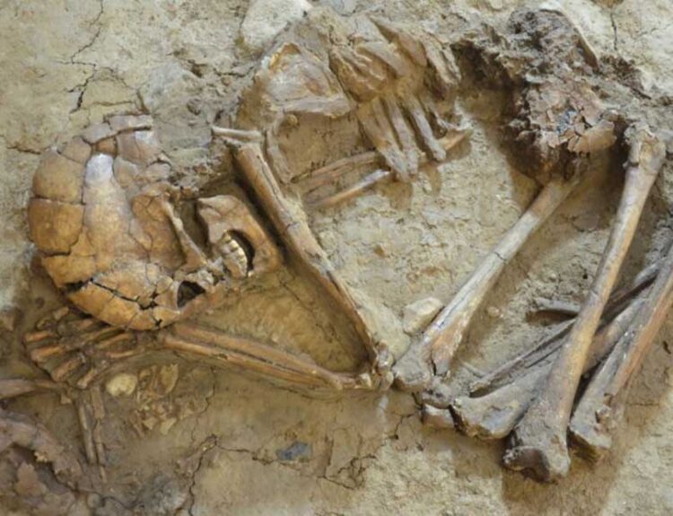 Ear Infections Reveal About Ancient and Modern Human Health