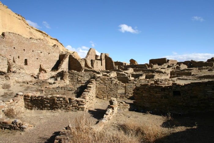 The Plaza Tree of Chaco Canyon: Unraveling the Mystery of America's Ancient Ponderosa Pine