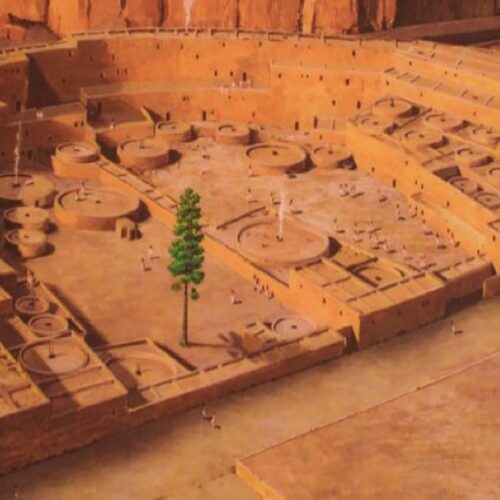 The Plaza Tree of Chaco Canyon: Unraveling the Mystery of America's Ancient Ponderosa Pine