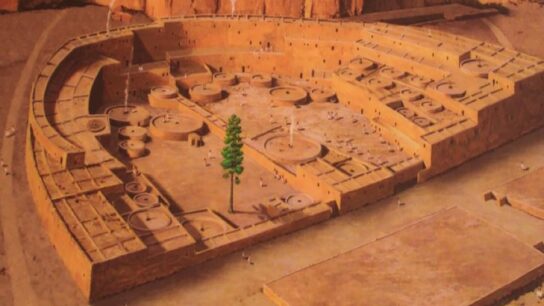 The Plaza Tree of Chaco Canyon: Unraveling the Mystery of America's Ancient Ponderosa Pine