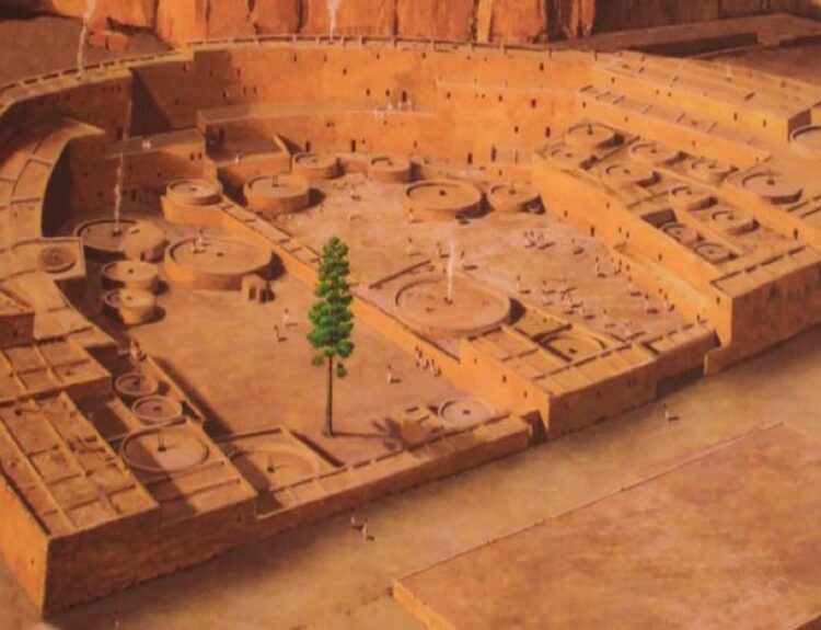 The Plaza Tree of Chaco Canyon: Unraveling the Mystery of America's Ancient Ponderosa Pine