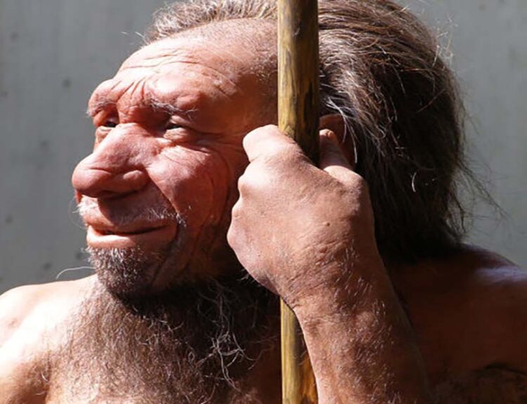 Neanderthal Ancestry Reveals Older Mothers and Younger Fathers: Icelandic Genetic Study