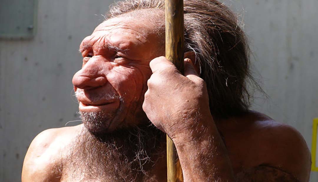 Neanderthal Ancestry Reveals Older Mothers and Younger Fathers: Icelandic Genetic Study