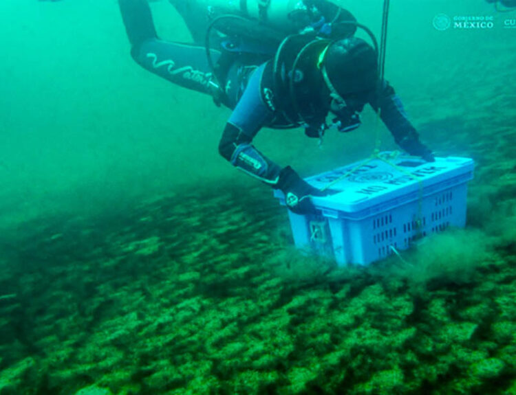 Mexico’s Sacred Lake of the Moon