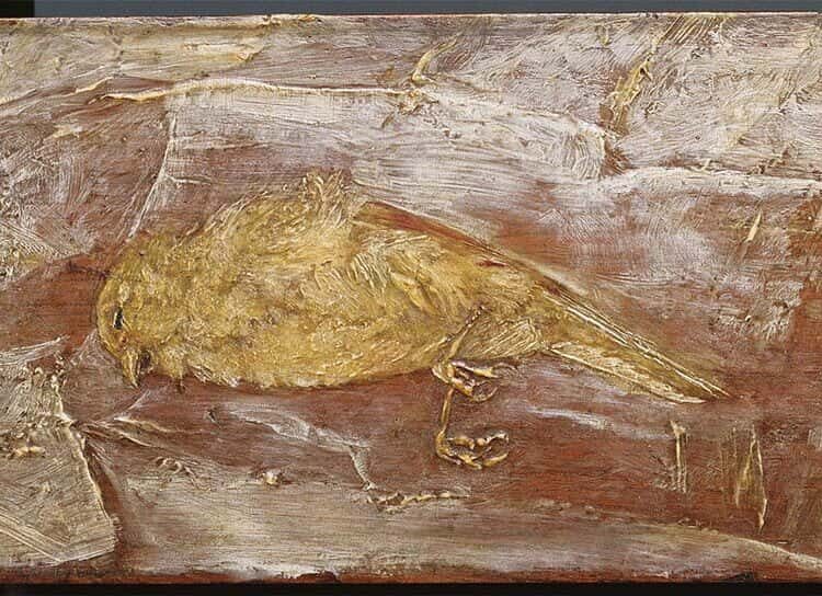 17th-Century Skeleton of Scandinavian Girl Found with Bird Skull in Mouth: A Mysterious Burial in Poland