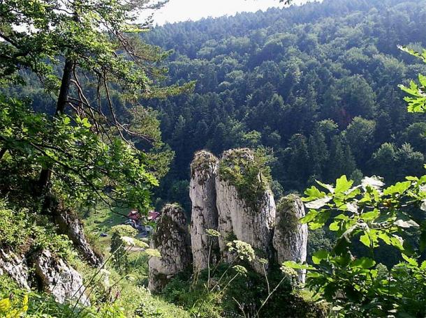 17th-Century Skeleton of Scandinavian Girl Found with Bird Skull in Mouth: A Mysterious Burial in Poland