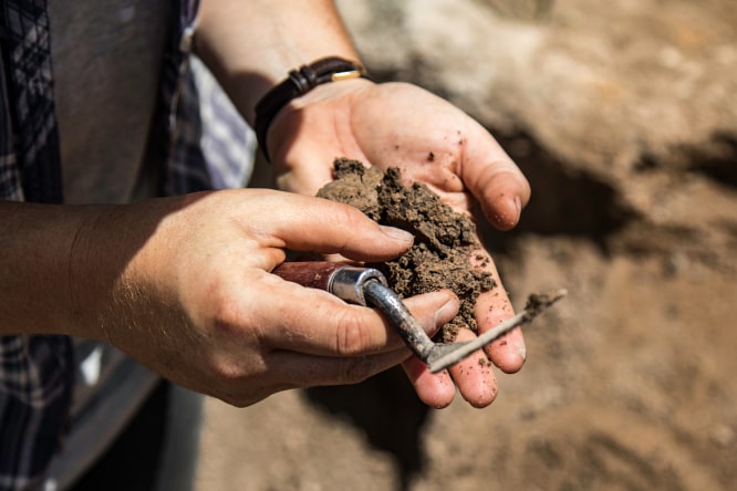 Medieval Port Discovered in Vendée