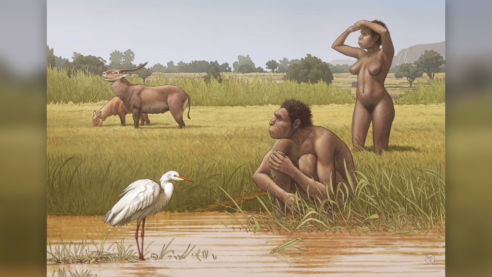 Homo Bodoensis: Newly Named Human Species and Potential Ancestor of Modern Humans