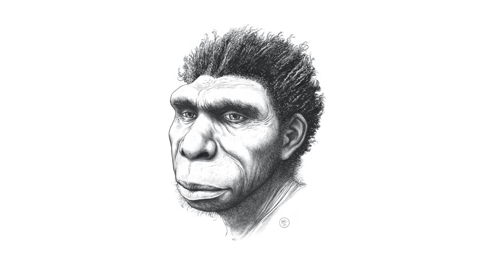 Homo Bodoensis: Newly Named Human Species and Potential Ancestor of Modern Humans