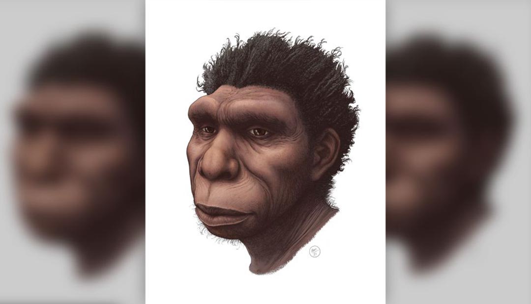 Homo Bodoensis: Newly Named Human Species