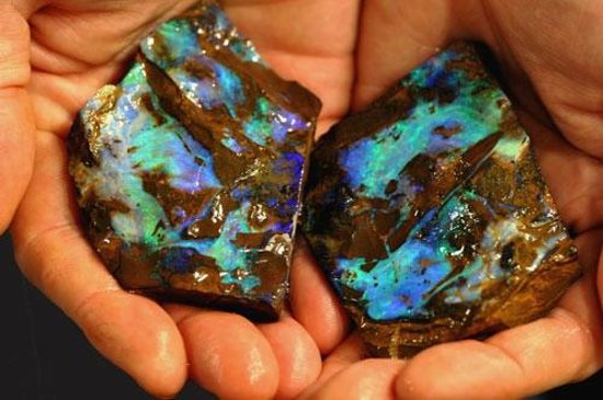  ‘Rainbow Tree’: The Stunning Boulder Opal 