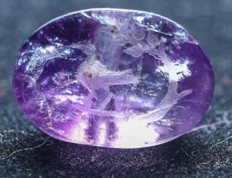 Biblical Persimmon from Second Temple Period