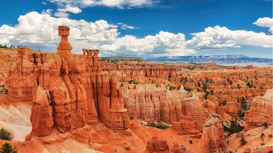 Fossil Discovery in Utah