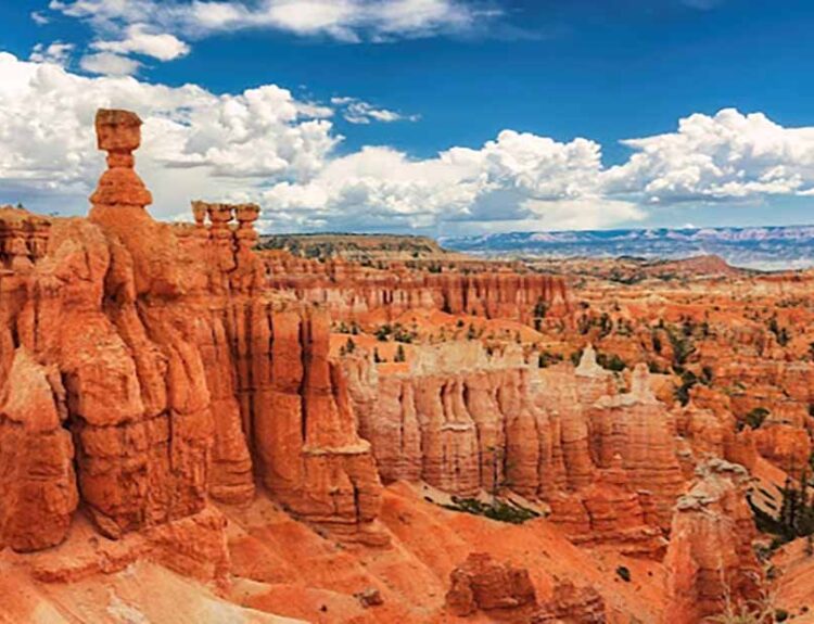 Fossil Discovery in Utah