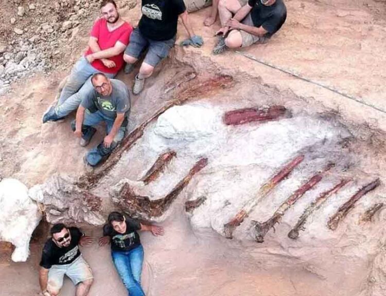 Dinosaur Fossil in Europe Discovered in Portugal – 150 Million-Year-Old Sauropod Unearthed