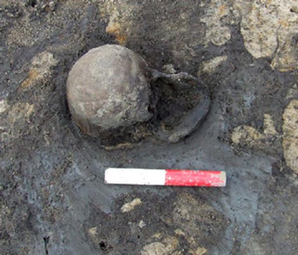 Old Brain Discovered in England: The Iron Age 