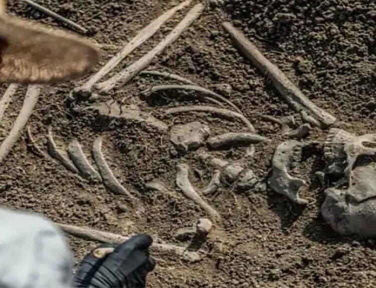 Portugal’s Stone Age Site