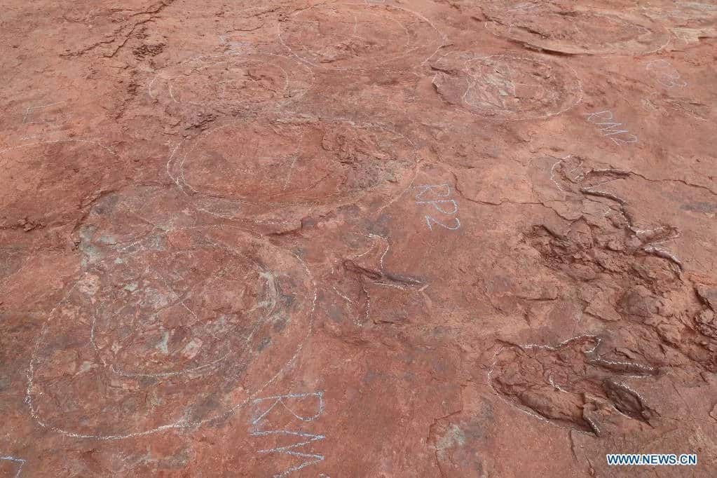 Dinosaur Dance Floor in China: Largest Late Cretaceous Footprint Site Discovered