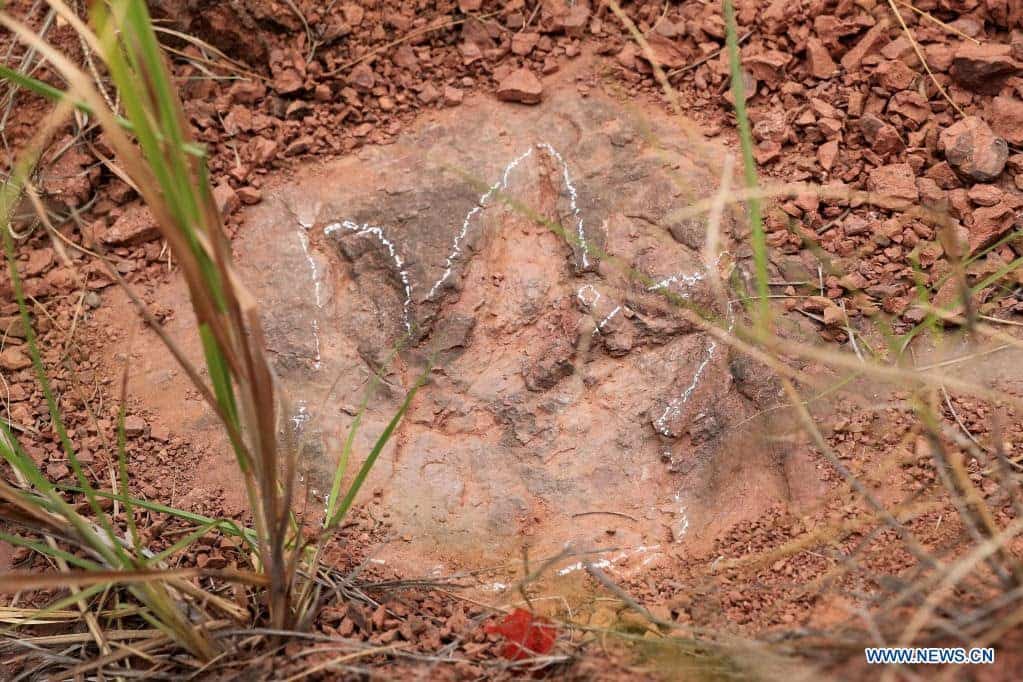 Dinosaur Dance Floor in China: Largest Late Cretaceous Footprint Site Discovered