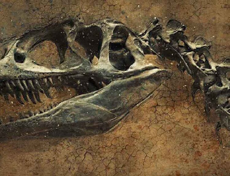 Dinosaur Dance Floor in China