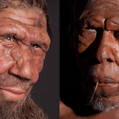 First Modern Humans