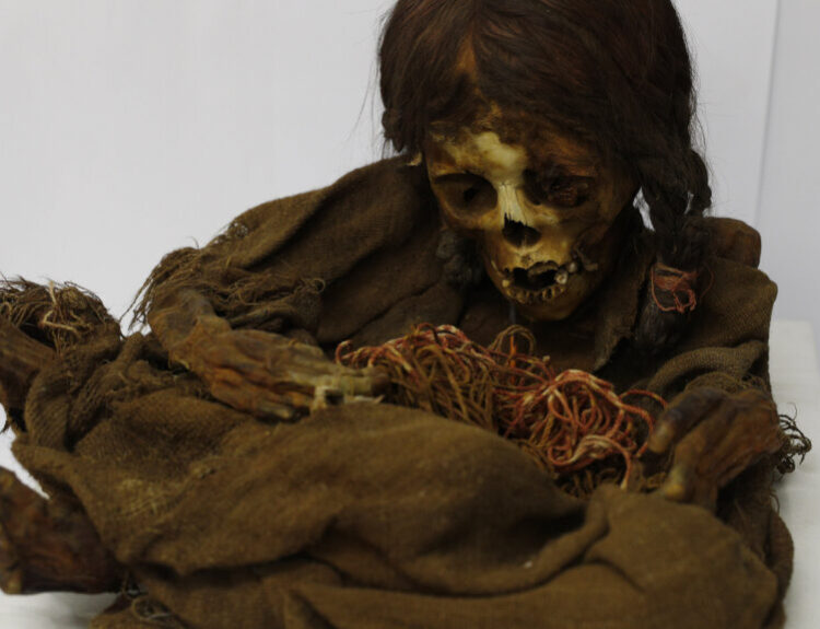 Mummified remains of Incan ‘Princess’ who died 500 years ago finally returned to Bolivia